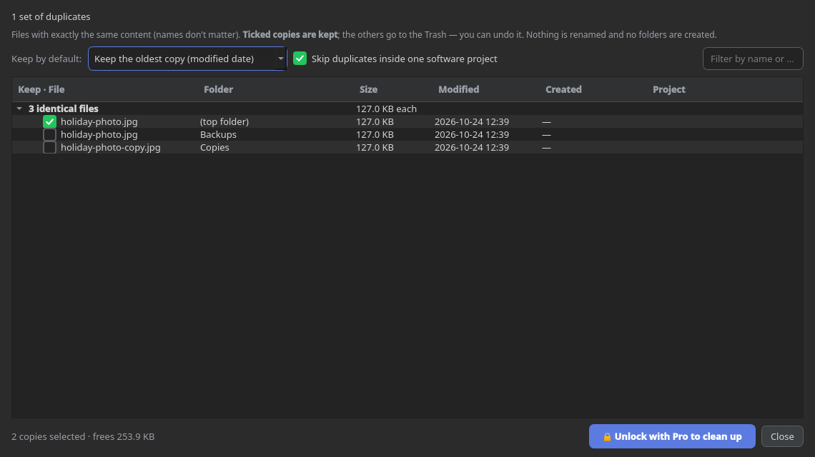 Actual Duplicate Finder review with three matching sample photos, checked keep choices, modification dates and a Free-edition Pro cleanup button.