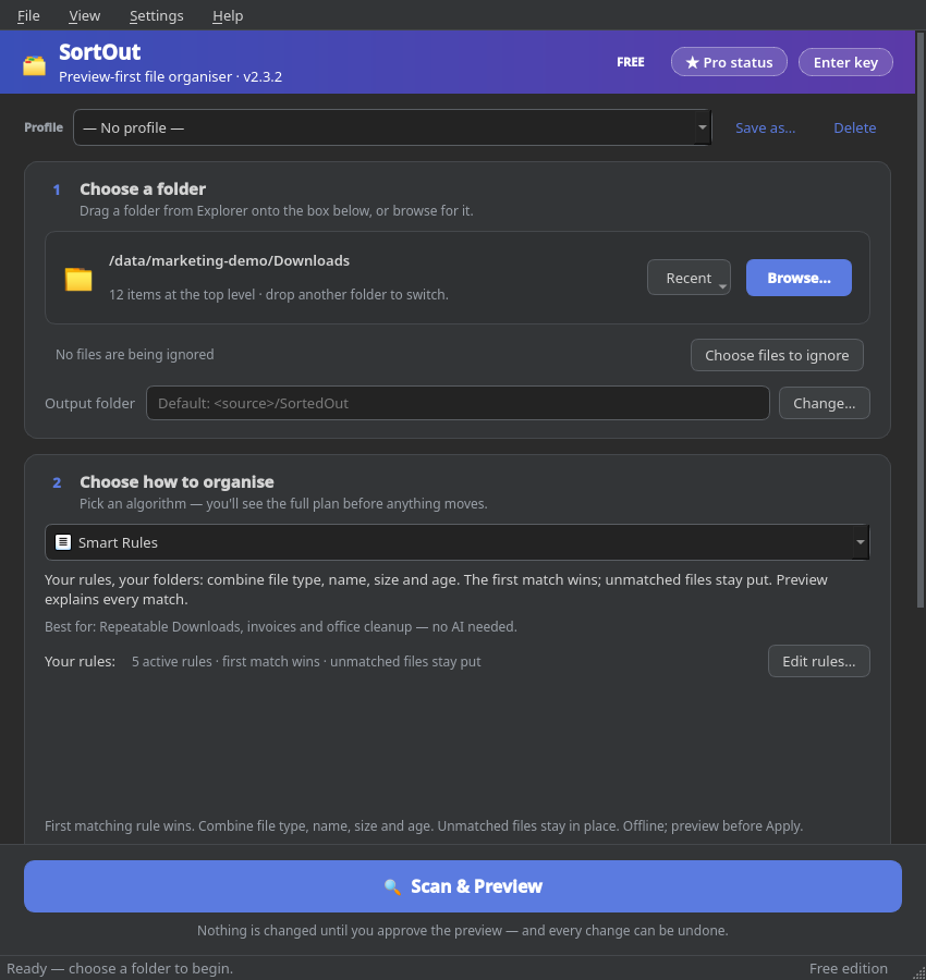 Actual SortOut main window with profiles, folder selection, Smart Rules and organizing options.